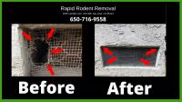 Rapid Rodent Removal image 26